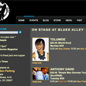 TolumiDE Blues Alley Website Promo